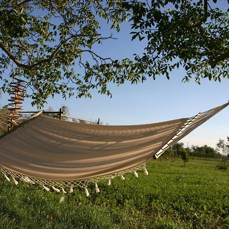 I Fichi Bianchi Bed and Breakfast Cutrofiano Buitenkant foto